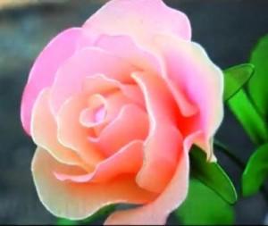 Прикрепленное изображение: роза-из-капроновых-колгот-300x253.jpg